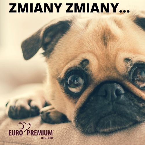 euro-premium (1) euro-premium